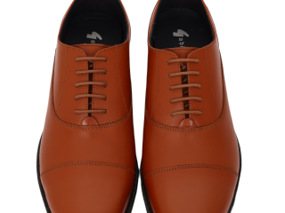 Gabicci Brown Shoe