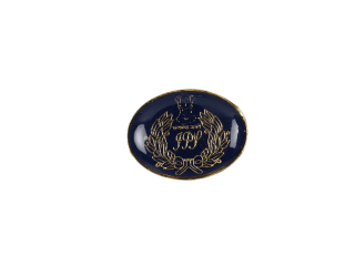 IPS Lapel Pin
