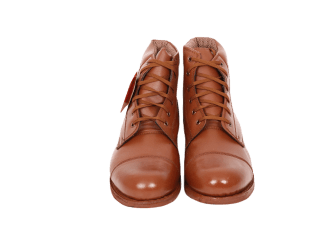 ankle shoe brown